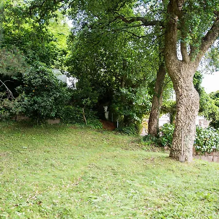 بيت للعطل Chalet Sotoxusto